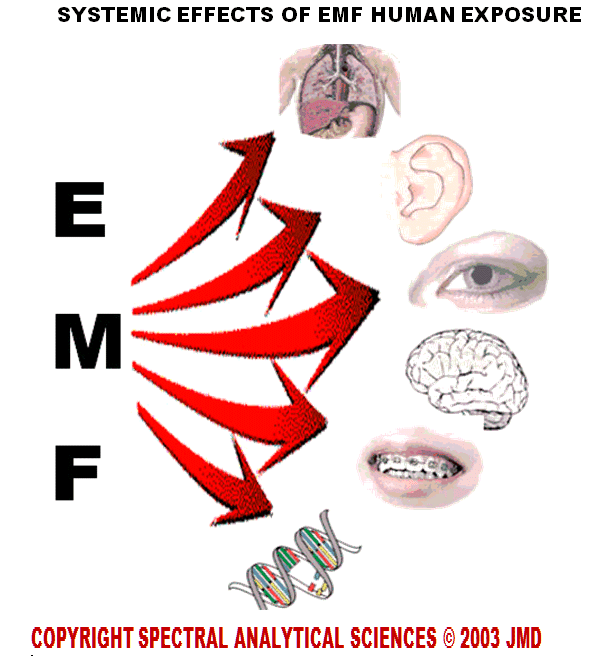 risks from emf testing exposure