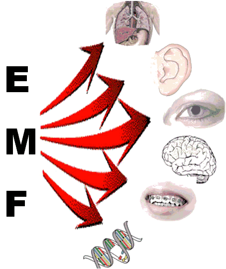 emf testing monmounth county nj